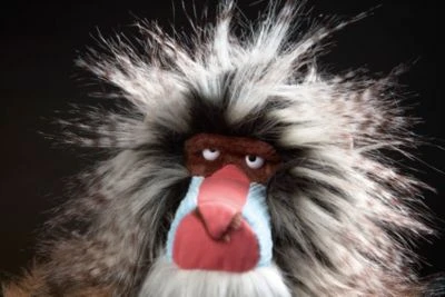 Sigikid Affe King Bombastic, BEASTS TOWN, 46 Cm (39135) 4 Sigikid Affe King Bombastic, BEASTS TOWN, 46 Cm (39135) – Bild 2