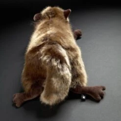 Sigikid BEASTS TOWN Kuscheltier Fuchs What Is It? (39617) -Sigikid 22574355 03