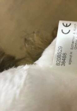 Sigikid QUE BEASTSTOWN - Kuscheltier - Weiß -Sigikid 3b7c061ab06140f396756277daa4f092