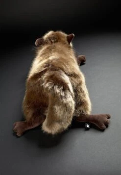 Sigikid BEASTSTOWN - Kuscheltier - Braun 9 Sigikid BEASTSTOWN - Kuscheltier - Braun -Sigikid 7afc3c4d183a4dedb368ebcb7a70cb5e